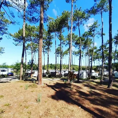Les Dunes De Contis 4 étoiles Dans Les Landes Emplacement S001 3ch 2sdb 6 Personnes Appartement *